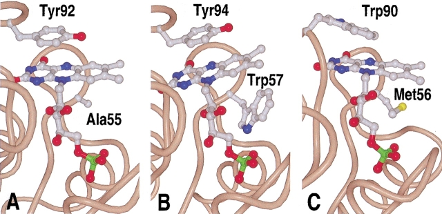 Fig. 4.