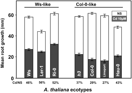 Figure 6.