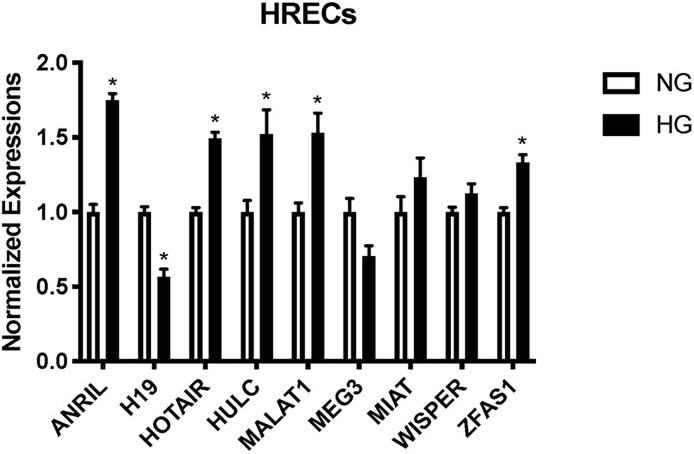 Figure 1