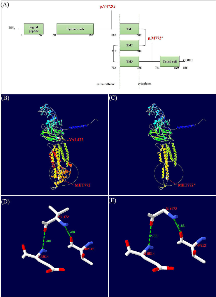 Fig. 2