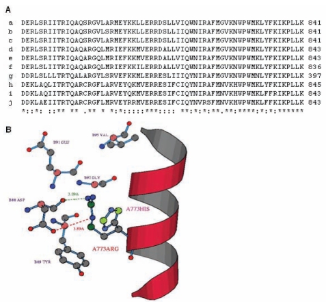 Figure 3)