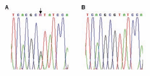 Figure 1)