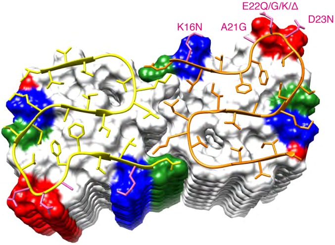 Fig. 8.