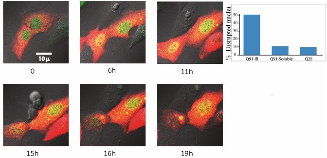 Fig 6