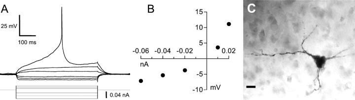 Fig. 5.