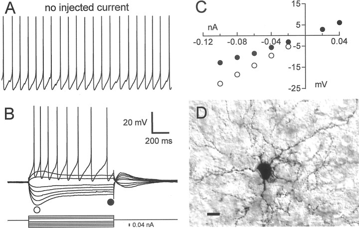 Fig. 12.