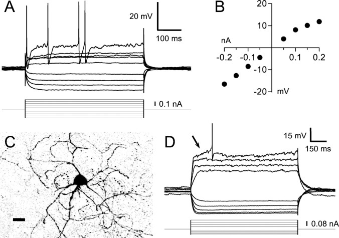 Fig. 10.