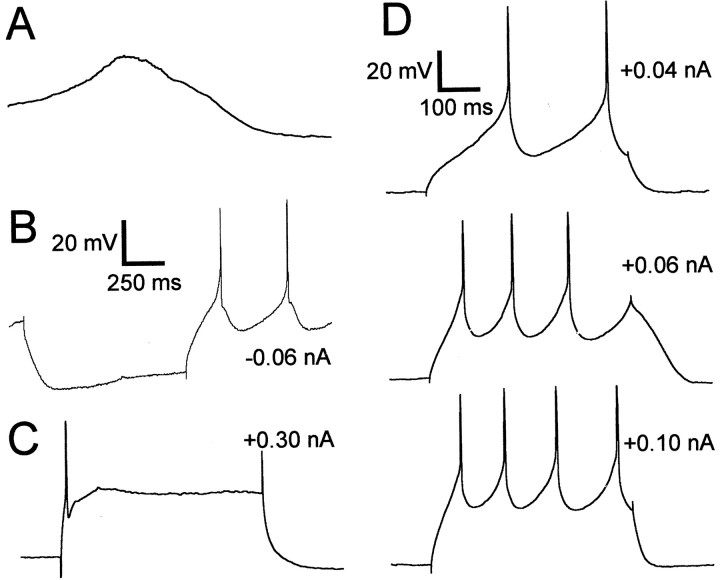 Fig. 6.