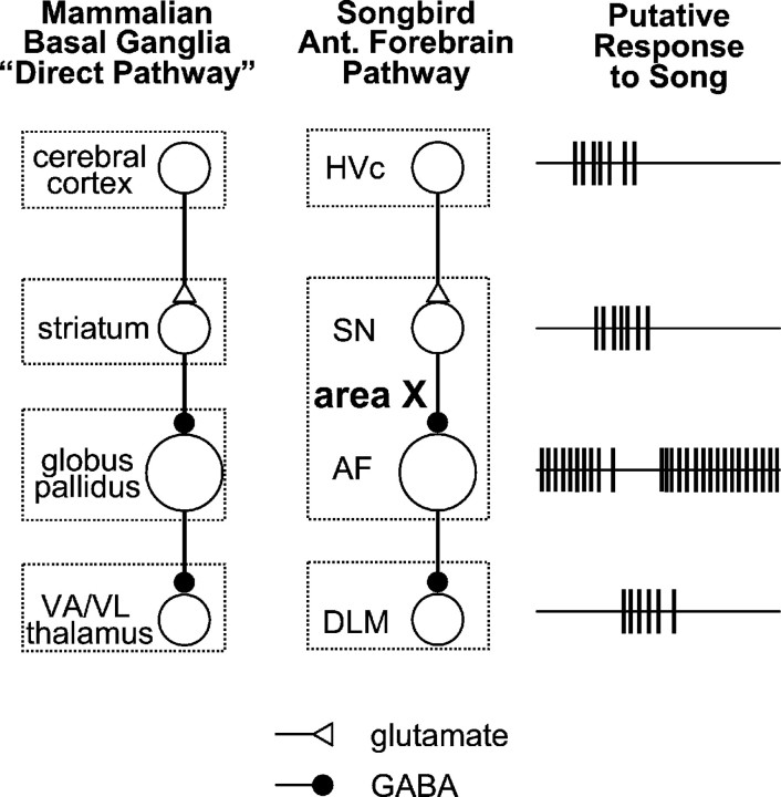 Fig. 15.