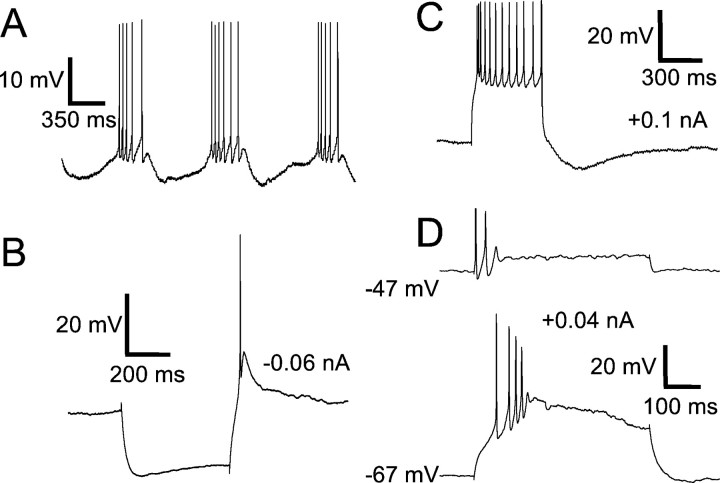 Fig. 9.