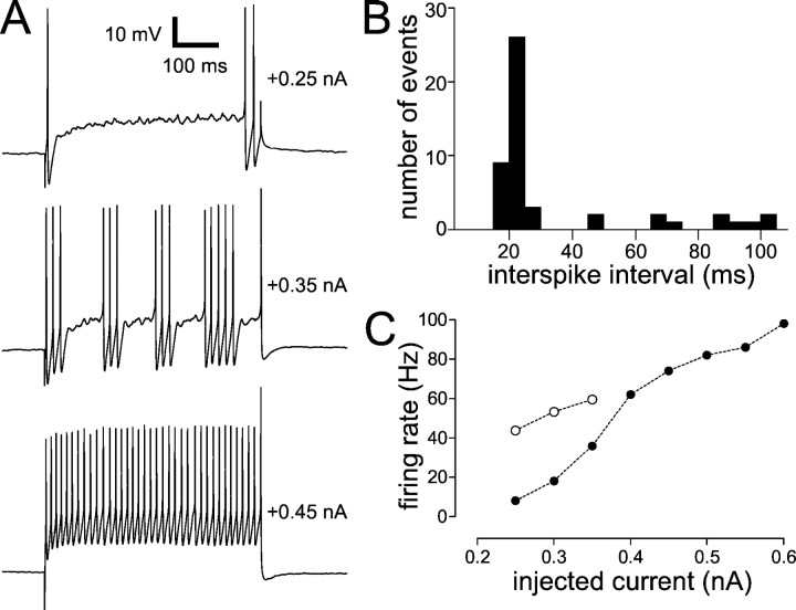 Fig. 11.