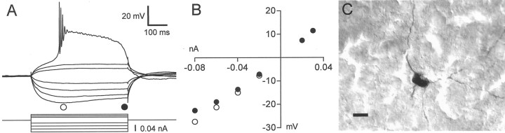 Fig. 8.