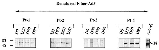 FIG. 5