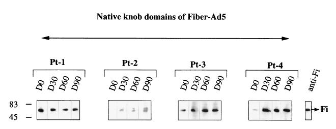 FIG. 7