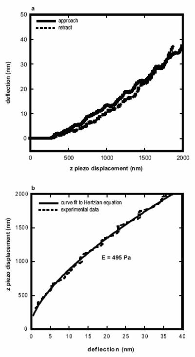 graphic file with name nihms-120295-f0002.jpg