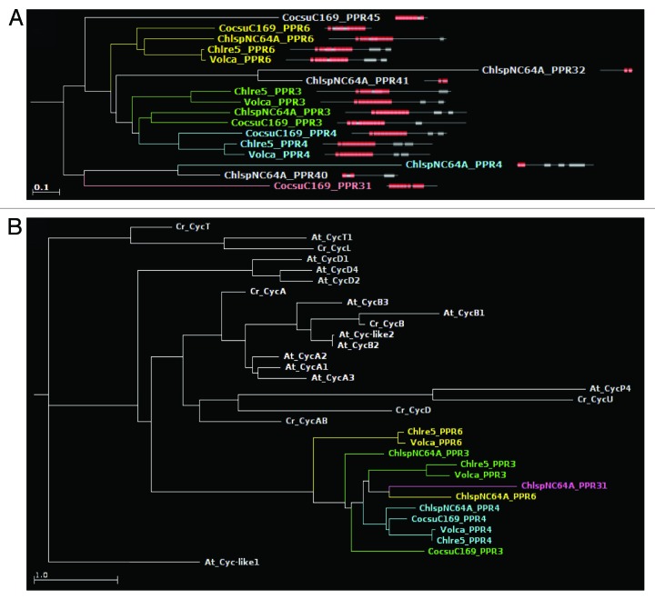 graphic file with name rna-10-1526-g8.jpg