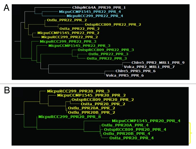 graphic file with name rna-10-1526-g10.jpg