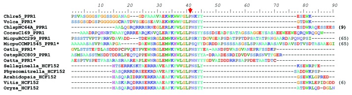 graphic file with name rna-10-1526-g6.jpg