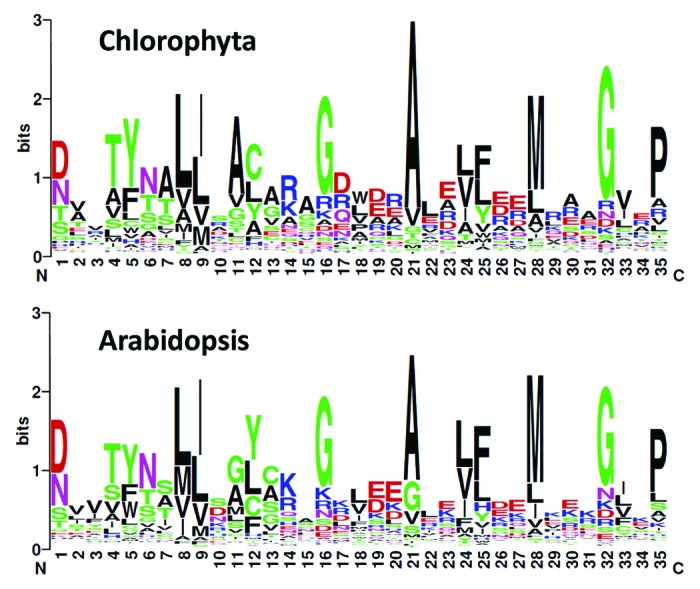 graphic file with name rna-10-1526-g1.jpg