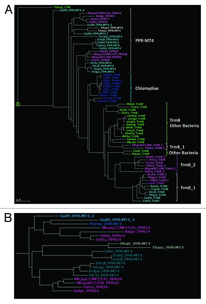 graphic file with name rna-10-1526-g9.jpg