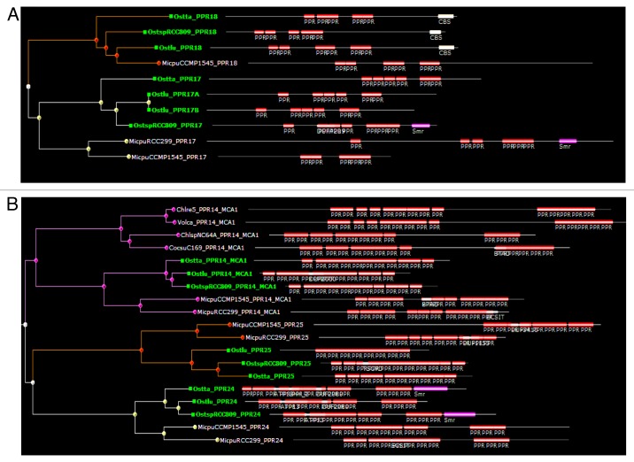 graphic file with name rna-10-1526-g3.jpg