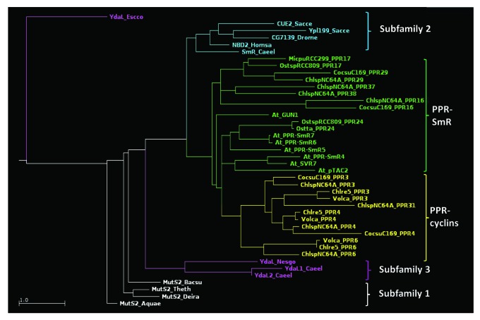 graphic file with name rna-10-1526-g7.jpg