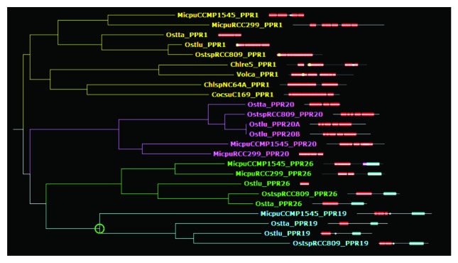 graphic file with name rna-10-1526-g2.jpg