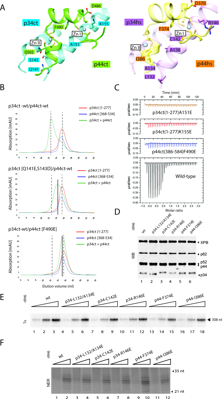 Figure 3.