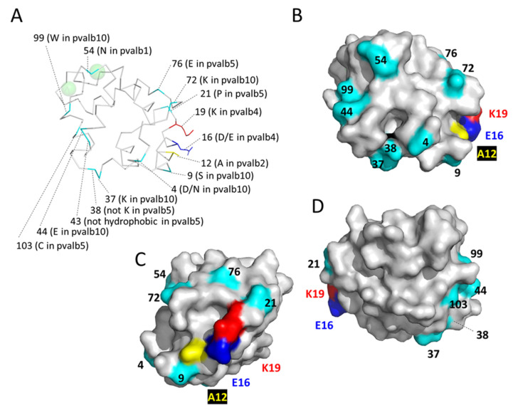 Figure 10