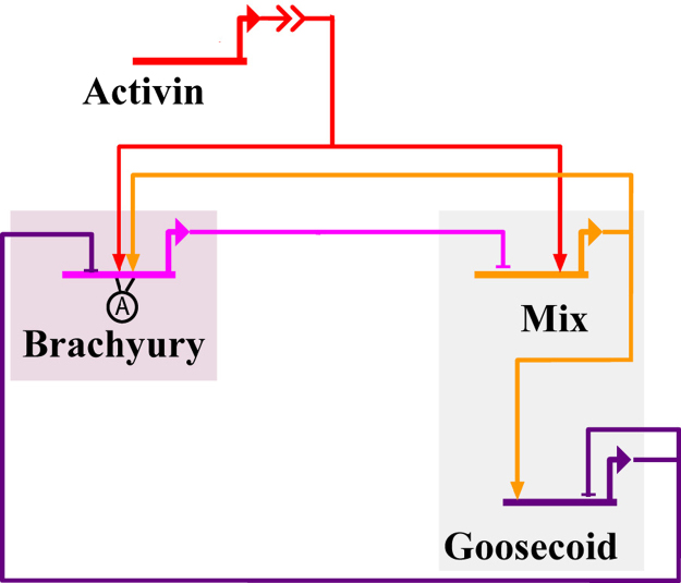 Fig. 3