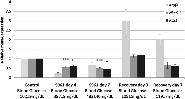 Figure 2—figure supplement 1.