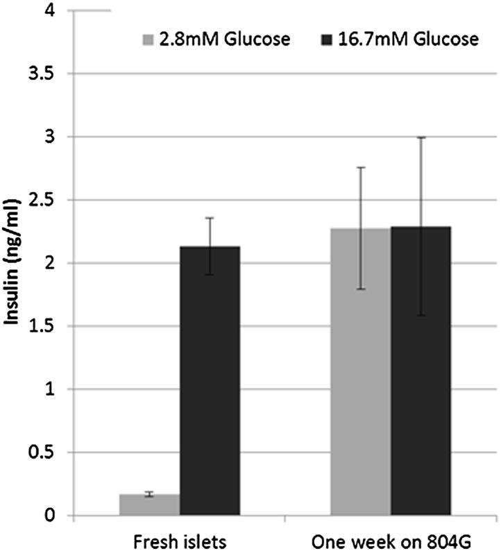 Figure 3—figure supplement 3.