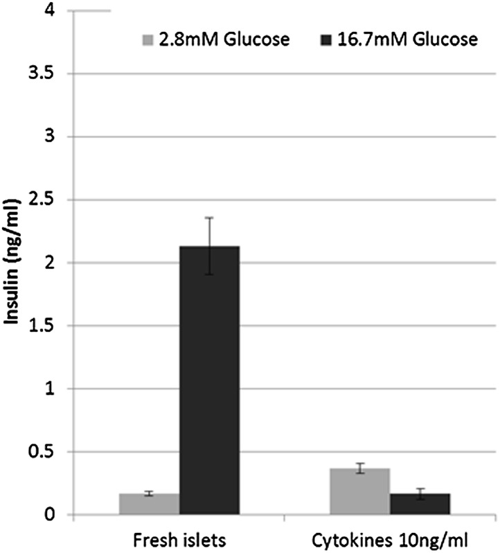 Figure 6—figure supplement 1.