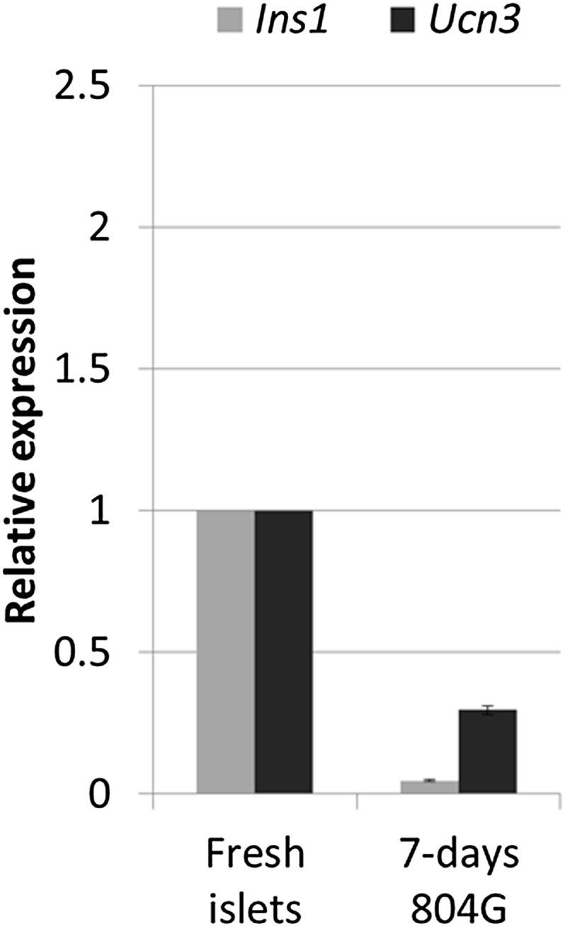 Figure 3—figure supplement 2.