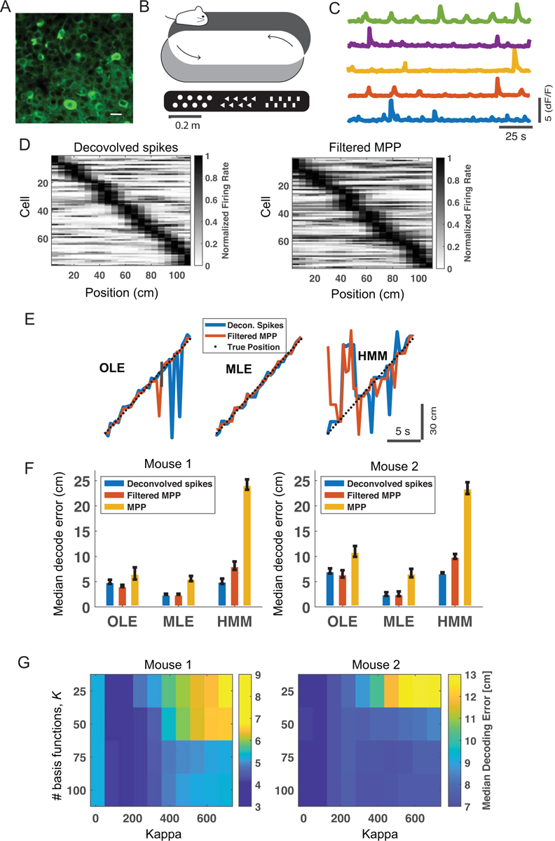 Figure 3: