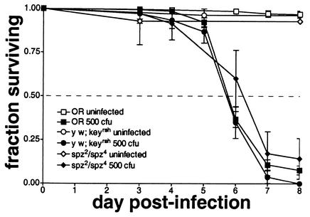 FIG. 8.