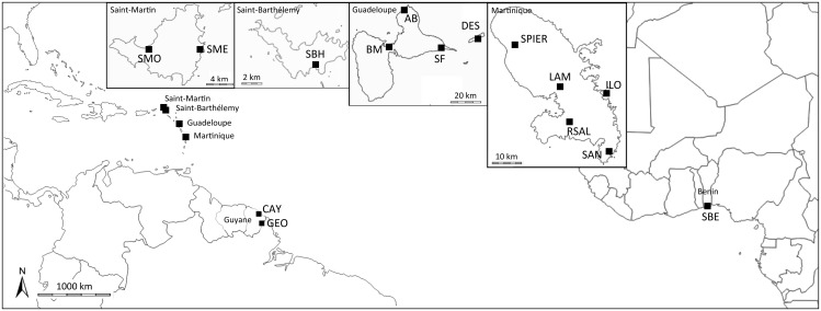 Fig. 1.