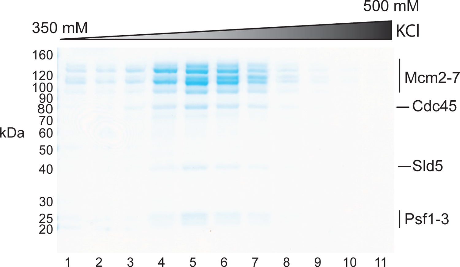 Figure 2: