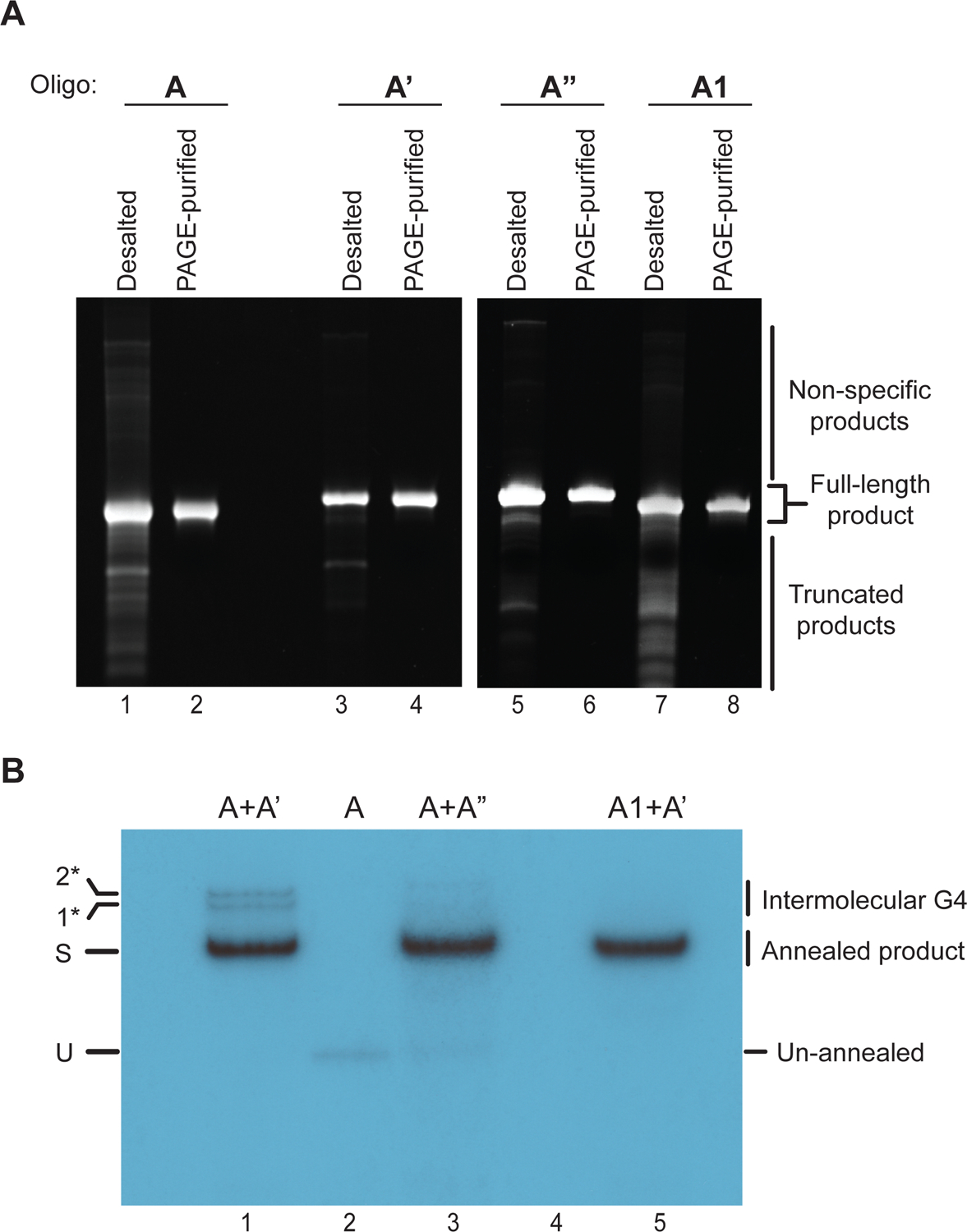 Figure 4: