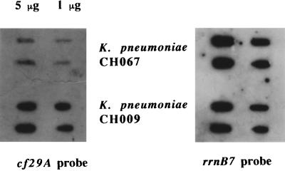 FIG. 8