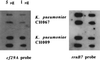 FIG. 8