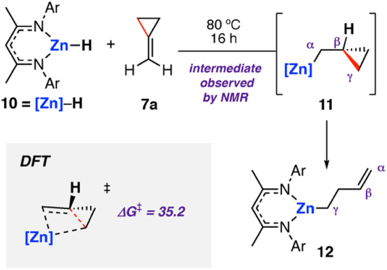 Scheme 4