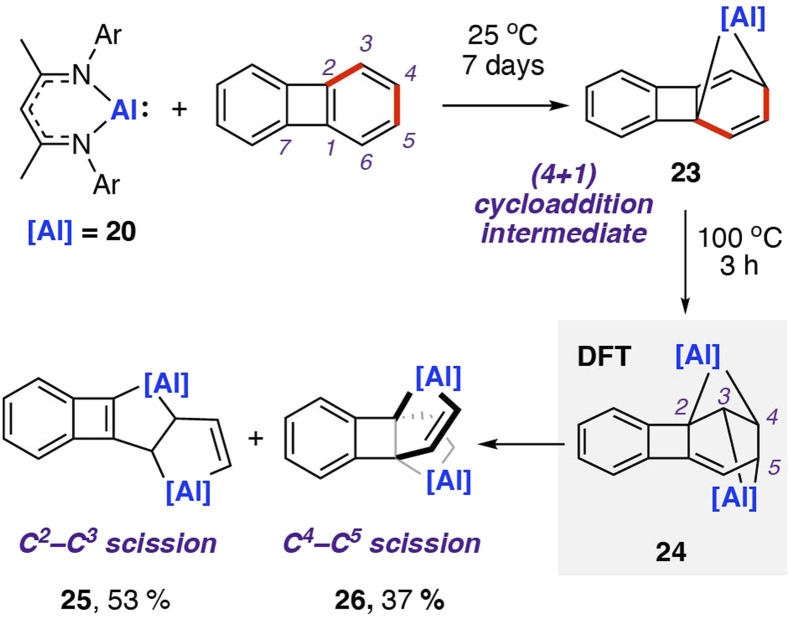 Scheme 8