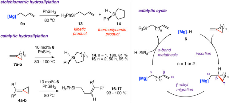 Scheme 5