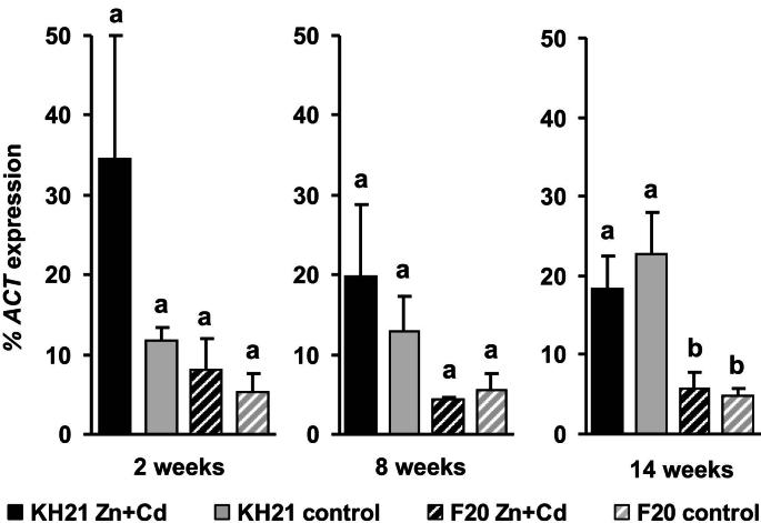 Fig. 2