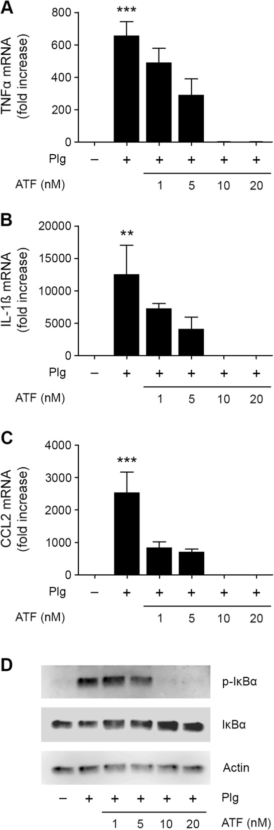 Fig. 7