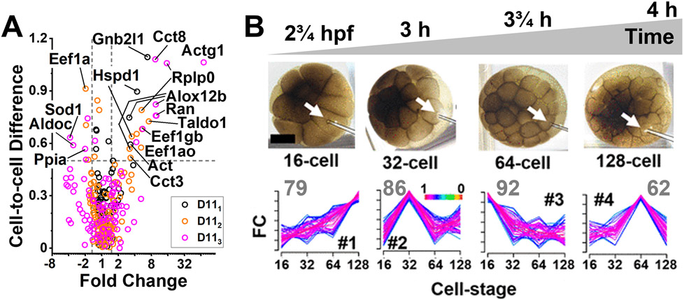 Figure 3: