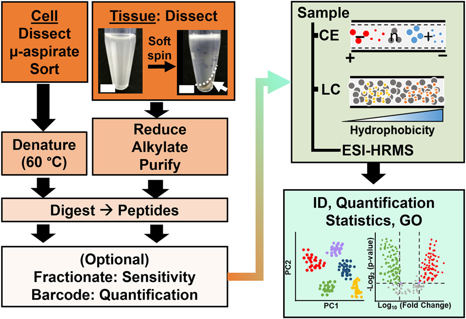 Figure 2: