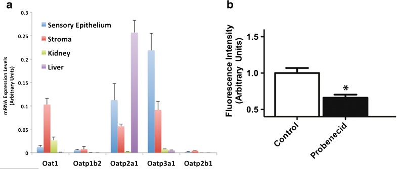 FIG. 9