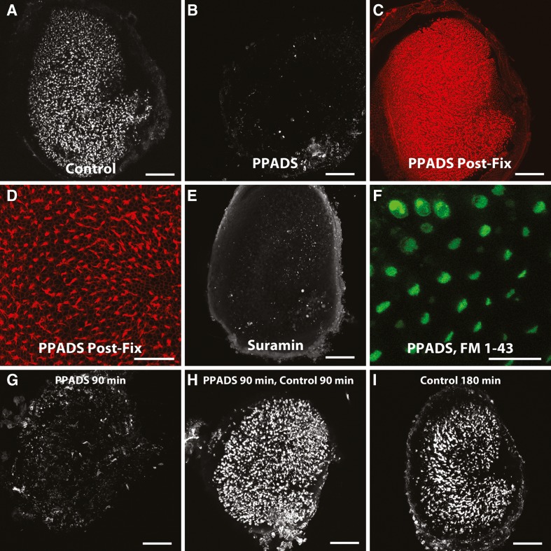 FIG. 6